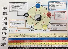 阳历11月份的星座(阳历11月16日是哪个星座)